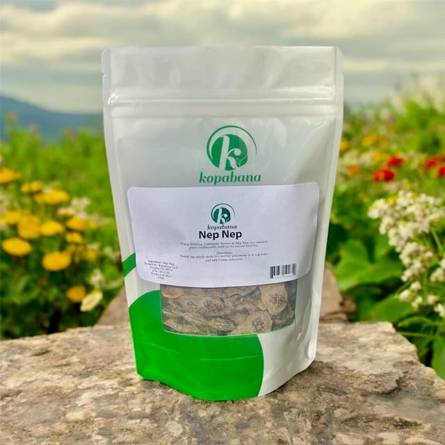 NEP NEP (Acacia Nilotica Seeds) - 2oz, Hand-Harvested and Sun-Dried Organic Seeds from Mali