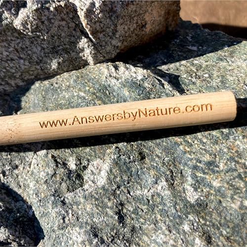 Natural Bristle Toothbrush [4-Pack], Ultra Soft Castor Bean Bristles, 100% Biodegradable, Plant Based Bristles and Bamboo Handle