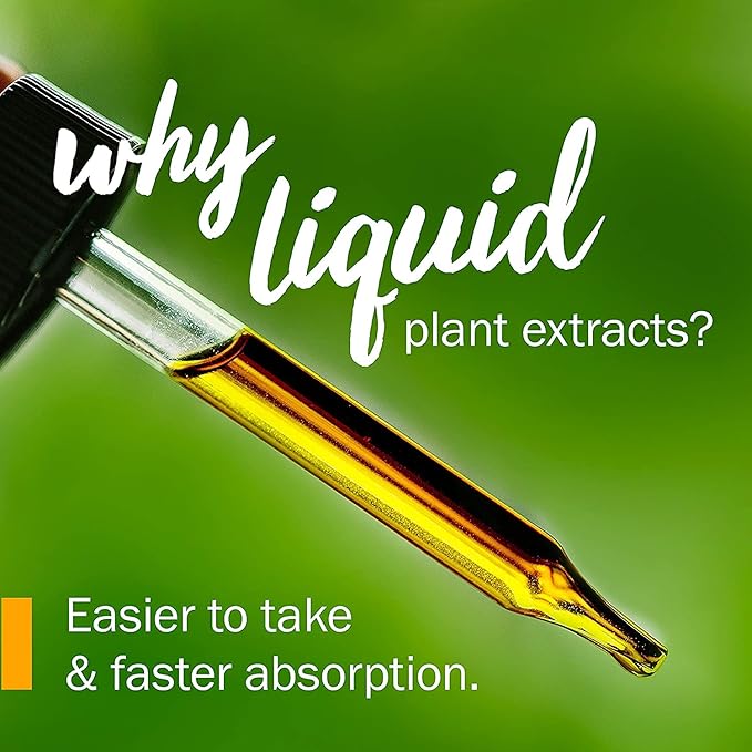Herb Pharm Jamaica Dogwood Liquid Extract for Minor Pain - 1 Ounce (Pack of 3)